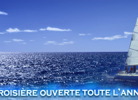 Slide1 2